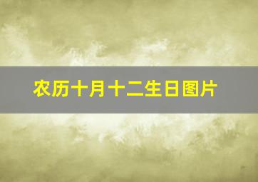 农历十月十二生日图片