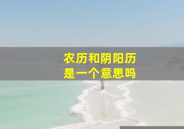 农历和阴阳历是一个意思吗