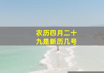 农历四月二十九是新历几号