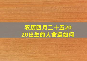 农历四月二十五2020出生的人命运如何