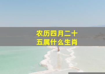 农历四月二十五属什么生肖