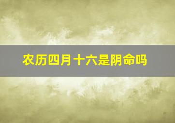 农历四月十六是阴命吗