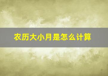 农历大小月是怎么计算