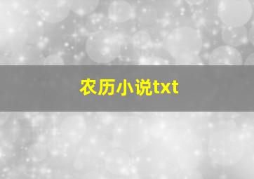 农历小说txt