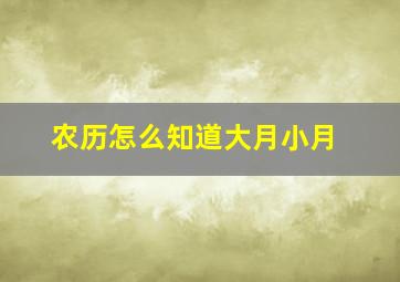 农历怎么知道大月小月