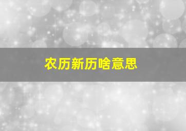 农历新历啥意思