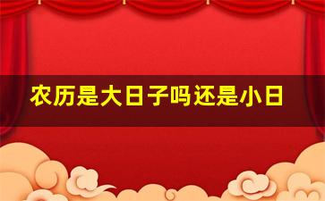 农历是大日子吗还是小日