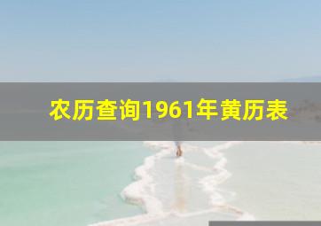 农历查询1961年黄历表