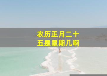 农历正月二十五是星期几啊