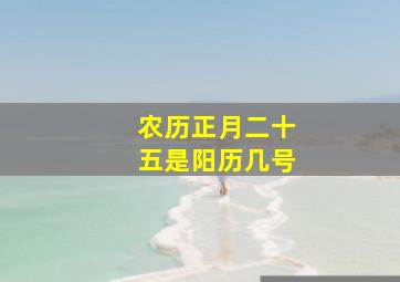 农历正月二十五是阳历几号