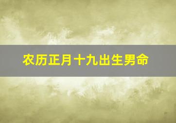 农历正月十九出生男命