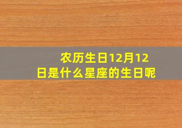 农历生日12月12日是什么星座的生日呢