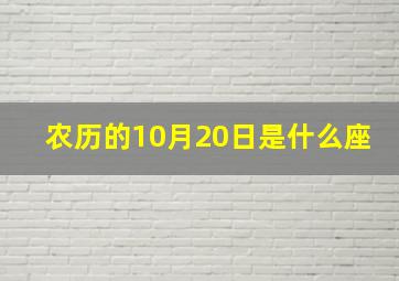 农历的10月20日是什么座