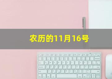 农历的11月16号