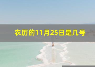 农历的11月25日是几号