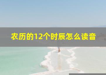 农历的12个时辰怎么读音