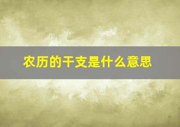 农历的干支是什么意思