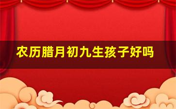 农历腊月初九生孩子好吗