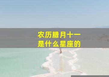 农历腊月十一是什么星座的