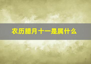 农历腊月十一是属什么