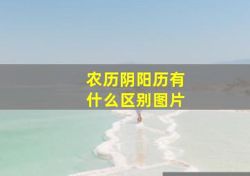 农历阴阳历有什么区别图片