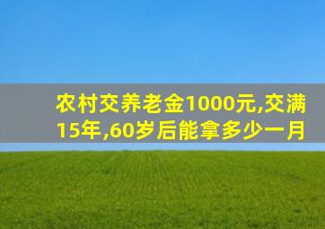 农村交养老金1000元,交满15年,60岁后能拿多少一月