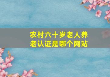 农村六十岁老人养老认证是哪个网站