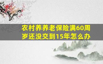 农村养养老保险满60周岁还没交到15年怎么办