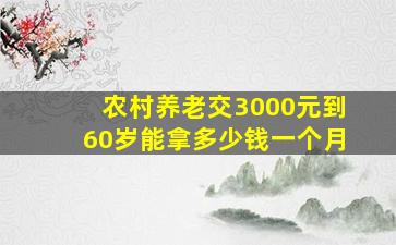 农村养老交3000元到60岁能拿多少钱一个月