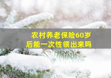 农村养老保险60岁后能一次性领出来吗