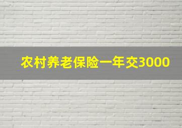 农村养老保险一年交3000