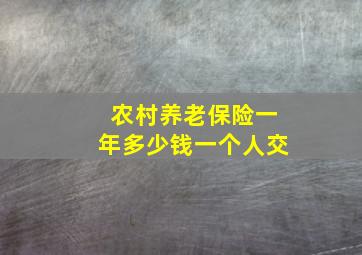 农村养老保险一年多少钱一个人交