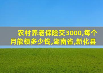 农村养老保险交3000,每个月能领多少钱,湖南省,新化县