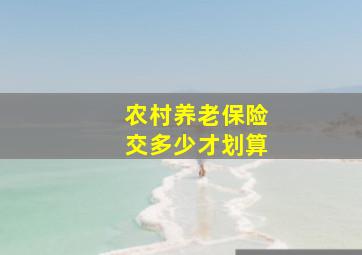 农村养老保险交多少才划算