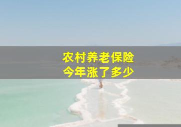 农村养老保险今年涨了多少