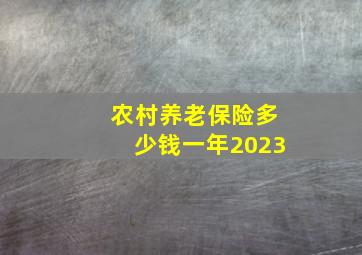 农村养老保险多少钱一年2023