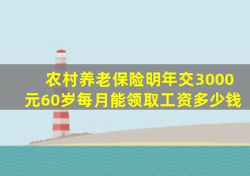 农村养老保险明年交3000元60岁每月能领取工资多少钱