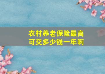 农村养老保险最高可交多少钱一年啊