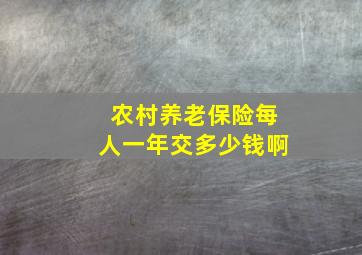 农村养老保险每人一年交多少钱啊