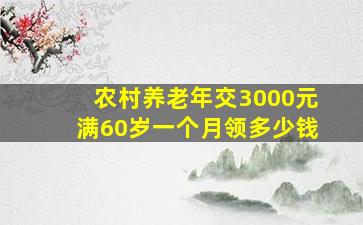 农村养老年交3000元满60岁一个月领多少钱