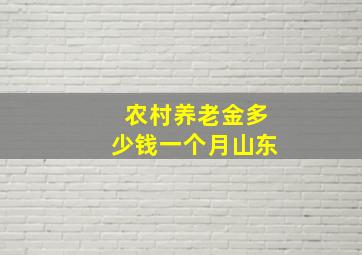 农村养老金多少钱一个月山东