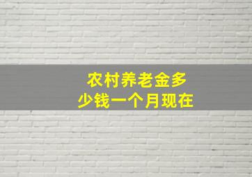 农村养老金多少钱一个月现在