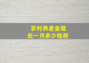 农村养老金现在一月多少钱啊