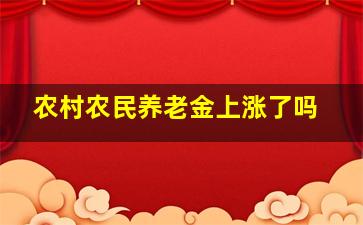 农村农民养老金上涨了吗