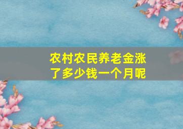 农村农民养老金涨了多少钱一个月呢