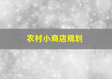 农村小商店规划