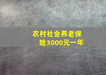 农村社会养老保险3000元一年