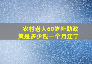 农村老人60岁补助政策是多少钱一个月辽宁