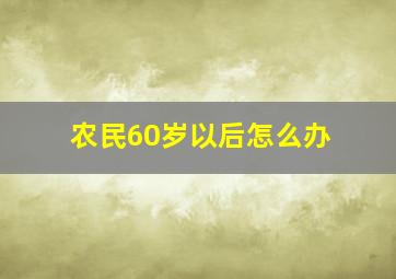 农民60岁以后怎么办