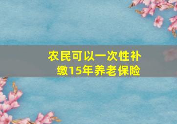 农民可以一次性补缴15年养老保险